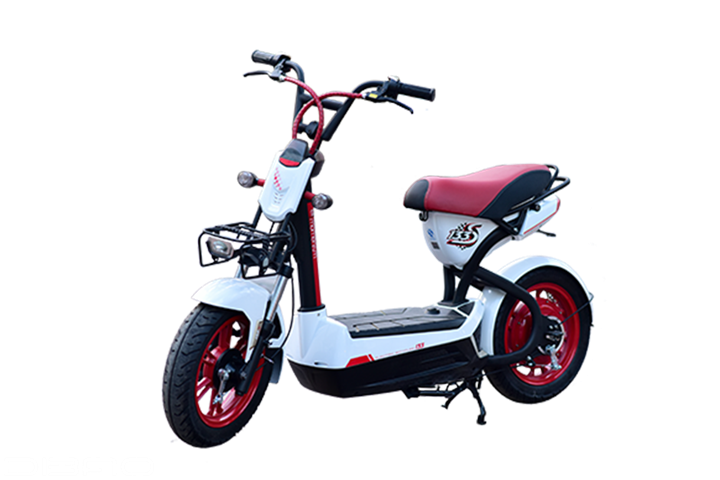 Xe đạp điện bò điên - mẫu xe “chất
